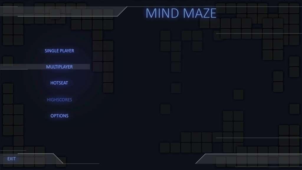 Mind Maze Steam CD Key (0.68$)