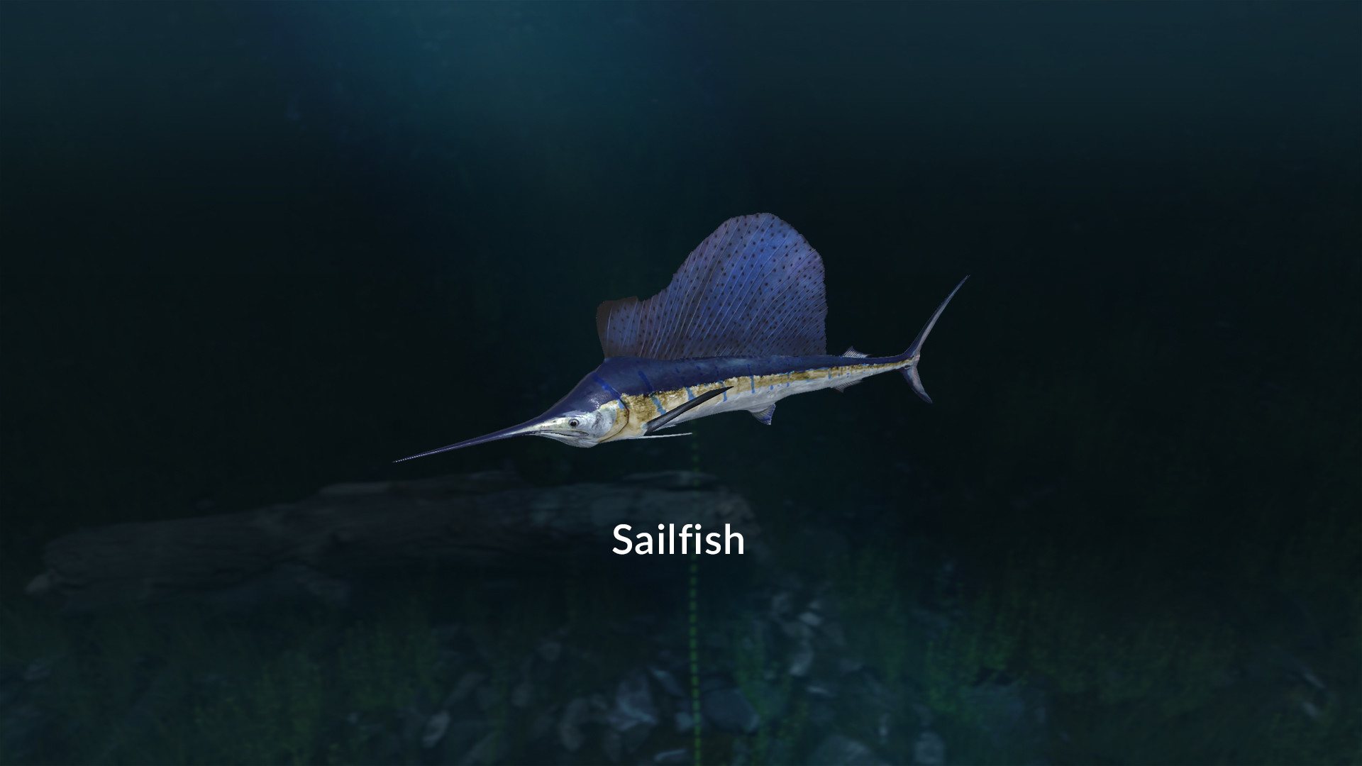 Ultimate Fishing Simulator - New Fish Species DLC Steam CD Key (1.65$)