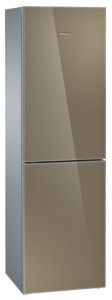 Bosch KGN39LQ10 Холодильник Фото, характеристики
