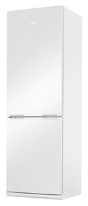 Amica FK328.4 Refrigerator larawan, katangian