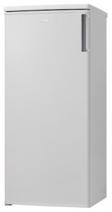 Hansa FZ208.3 Refrigerator larawan, katangian