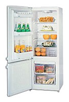 BEKO DNE 48180 Refrigerator larawan, katangian