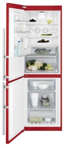 Electrolux EN 93488 MH Refrigerator larawan, katangian