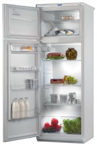 Pozis Мир 244-1 Refrigerator larawan, katangian
