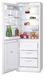ATLANT МХМ 1809-06 Холодильник Фото, характеристики