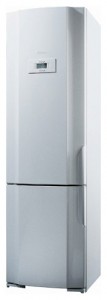 Gorenje RK 63391 W Refrigerator larawan, katangian