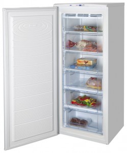 NORD 155-3-010 Refrigerator larawan, katangian
