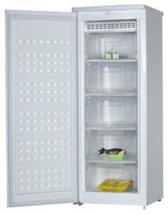 Elenberg MF-168W Refrigerator larawan, katangian