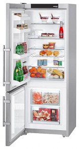 Liebherr CUPsl 2901 Refrigerator larawan, katangian