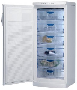 Gorenje F 6245 W Refrigerator larawan, katangian