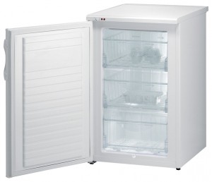 Gorenje F 4091 AW Refrigerator larawan, katangian