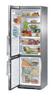 Liebherr CBNes 3857 Refrigerator larawan, katangian