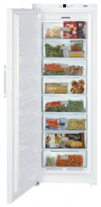 Liebherr GN 4113 Refrigerator larawan, katangian