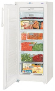 Liebherr GN 2323 Refrigerator larawan, katangian