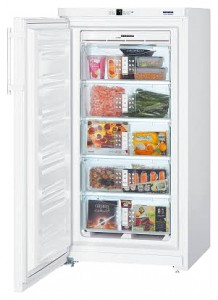 Liebherr GN 2613 Refrigerator larawan, katangian