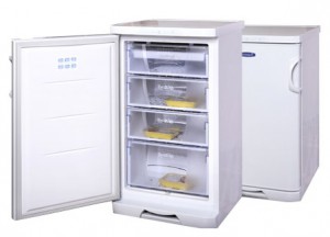 Бирюса 148 KL Refrigerator larawan, katangian