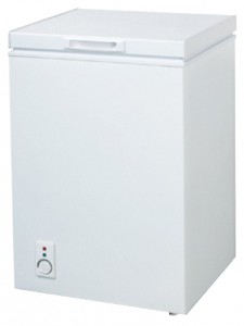 Amica FS100.3 Refrigerator larawan, katangian