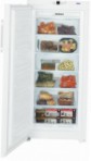 Liebherr GN 3113 Холодильник \ характеристики, Фото