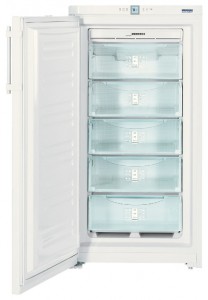 Liebherr GNP 2666 Холодильник Фото, характеристики