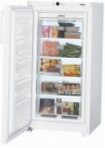 Liebherr GNP 2613 Refrigerator \ katangian, larawan