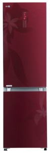 LG GA-B489 TGRF Refrigerator larawan, katangian