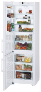 Liebherr CBN 3913 Refrigerator larawan, katangian