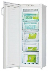 Hisense RS-20WC4SAW Refrigerator larawan, katangian