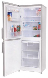 Hansa FK273.3X Refrigerator larawan, katangian