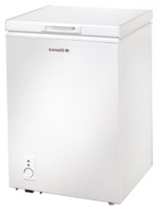 Hansa FS100.3 Refrigerator larawan, katangian