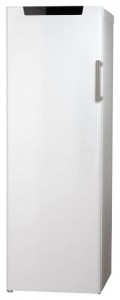 Hisense RS-30WC4SAW Refrigerator larawan, katangian
