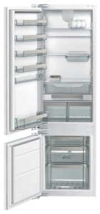 Gorenje GDC 67178 F Refrigerator larawan, katangian