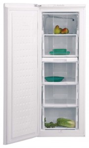 BEKO FSE 21906 Refrigerator larawan, katangian