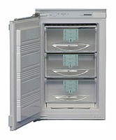 Liebherr GI 1023 Refrigerator larawan, katangian