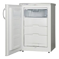 Snaige F100-1101АА Refrigerator larawan, katangian