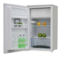 WEST RX-11005 Refrigerator larawan, katangian