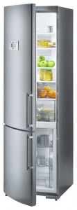 Gorenje RK 65365 DE Refrigerator larawan, katangian