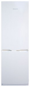 Snaige RF31SH-S10001 Refrigerator larawan, katangian