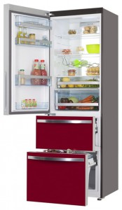 Haier AFD631GR Refrigerator larawan, katangian