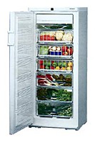 Liebherr BSS 2986 Refrigerator larawan, katangian