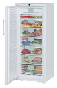 Liebherr GNP 2976 Refrigerator larawan, katangian