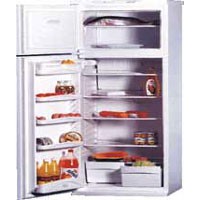 NORD 244-6-530 Refrigerator larawan, katangian