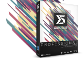 WebSite X5 Professional CD Key (192.43$)