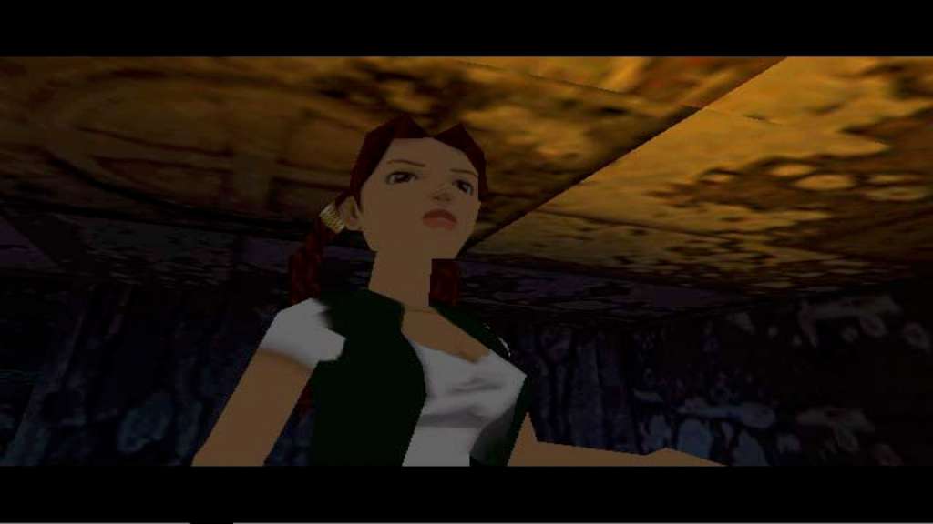 Tomb Raider V: Chronicles Steam Gift (56.49$)