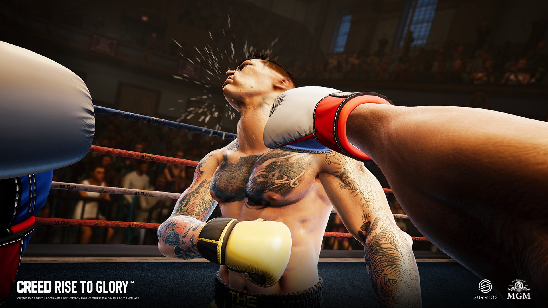 Creed: Rise to Glory Steam CD Key (10.71$)