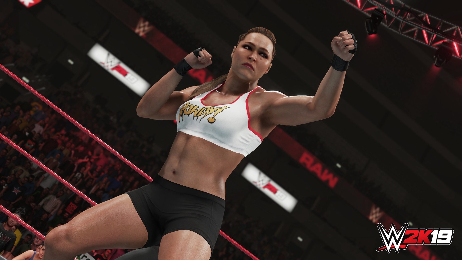 WWE 2K19 PlayStation 4 Account pixelpuffin.net Activation Link (15.81$)