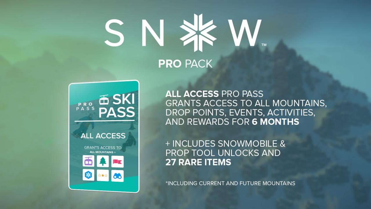 SNOW - Pro Pack DLC EU Steam CD Key (0.53$)