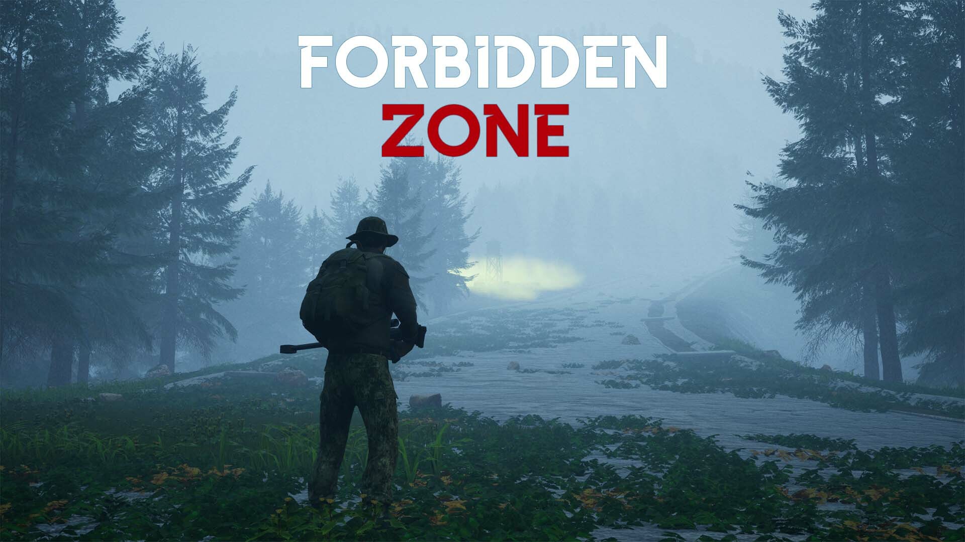 Forbidden zone Steam CD Key (2.44$)