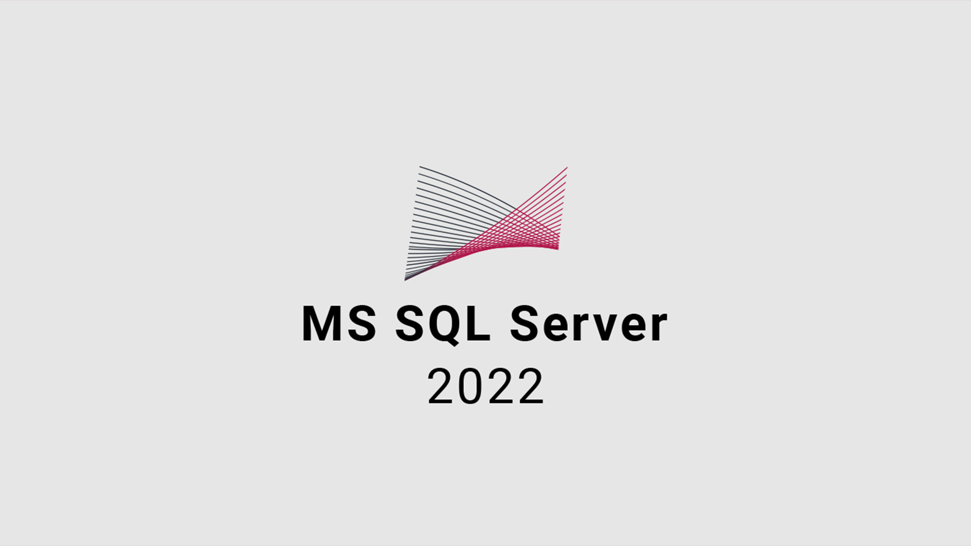 MS SQL Server 2022 CD Key (111.87$)
