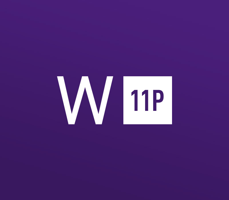 Windows 11 Professional OEM Key - API (20.89$)