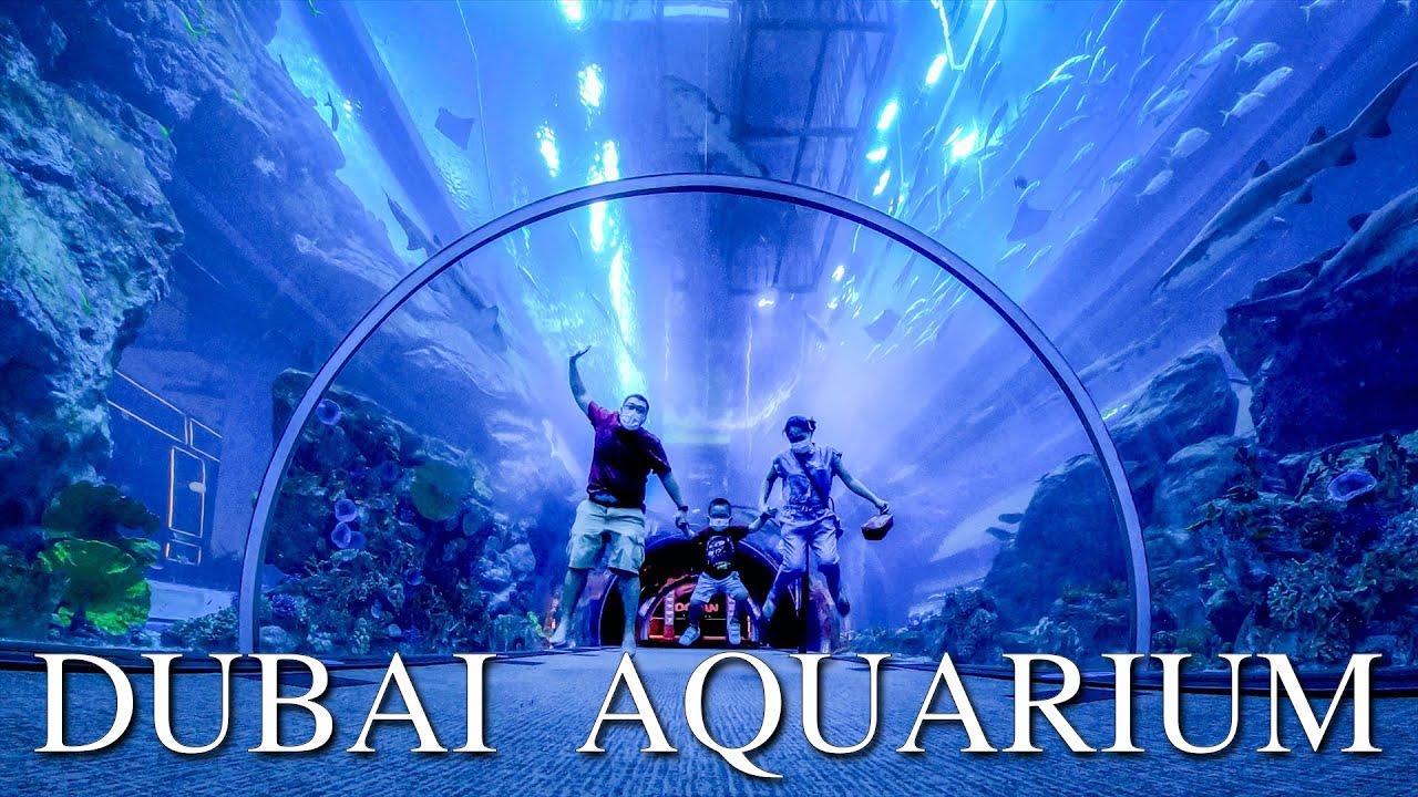 Dubai Aquarium & Underwater Zoo 50 AED Gift Card AE (16.02$)